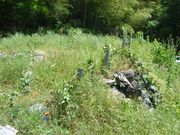 kazu����̍��c�隬�i���R���^��s�j�̓��e�ʐ^3