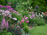 hanabi̎OzfBAt[~[WAitsԂ̔pفj̓eʐ^2