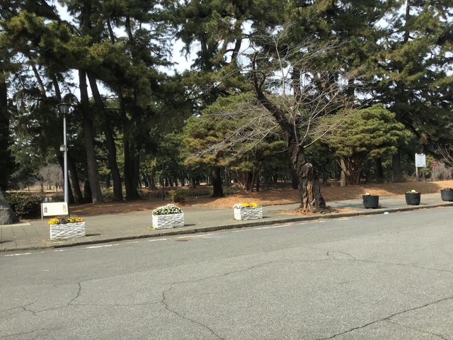 ������_�~������