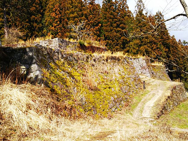 ��d�ɂ��Ί_��_�⑺���