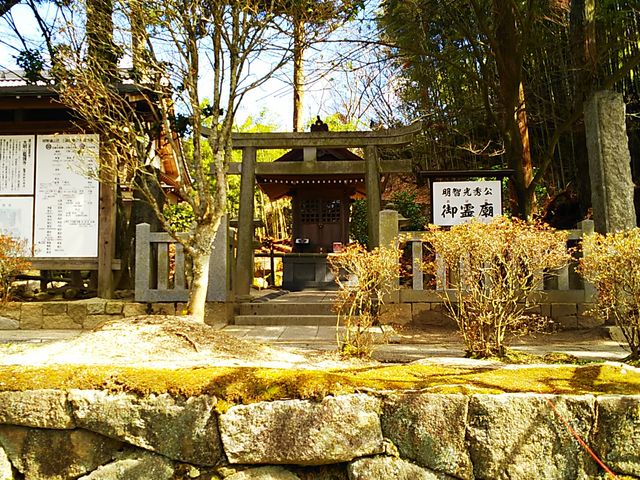 ˂񂳂̗쎛i򕌌bߎsj̓eʐ^2