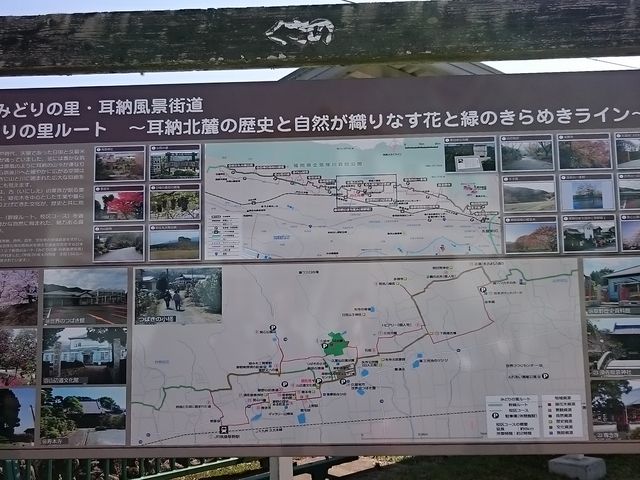 ���[�A�R�Ǝ��R�Ɨ��j_���[�A�R