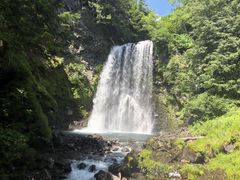 JgQ̑PܘY̑ւ̓eʐ^1