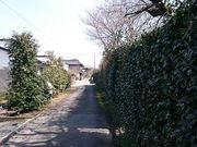 񂿂񂳂̖݂̒̓eʐ^1