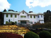 ˂񂳂̑吳}فi򕌌bߎsj̓eʐ^1