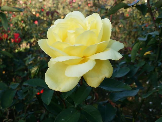 �����o�����@�H�o��_�����o����