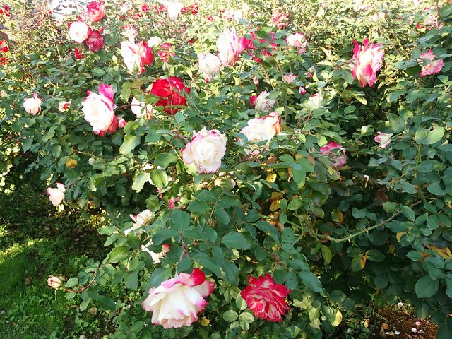 �����o�����@�H�o��_�����o����