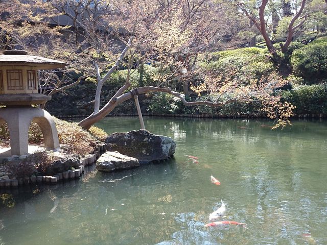 ��̉j���r�Ɠ��U_���F��