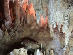 ܂邳̐Ί_ߓւ̓eʐ^1