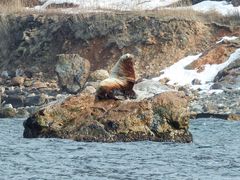 炢[̏M̓AN[Yւ̓eʐ^1