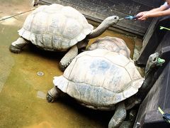 ܂̐EW ANAggӂւ̓eʐ^1