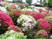 hide̍Ð_Ђ̃ccW̓eʐ^1