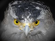 zin̐Ί_₢ܑ̓eʐ^4