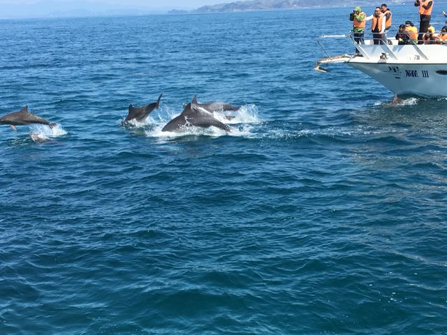 CJEHb`O_CJEHb`Ot\Z^[