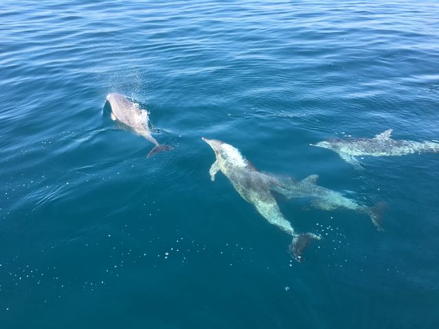 쐶̃CJ_CJEHb`Ot\Z^[