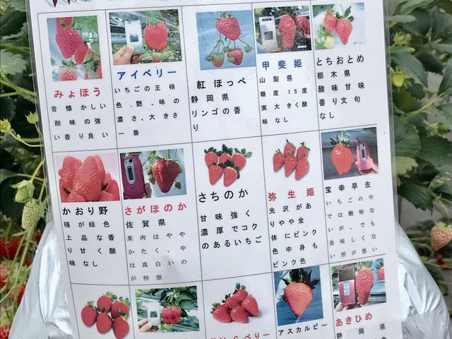 �~����R�[�X���_�������̉���