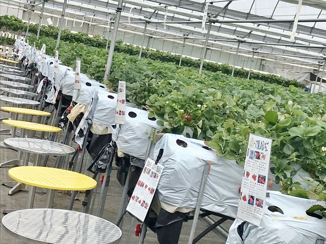 �_��_�������̉���