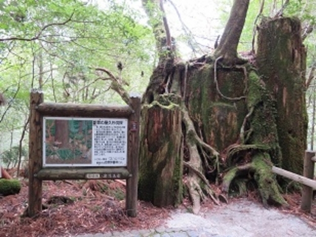 ���N�X�M�����h_���N�X�M�����h