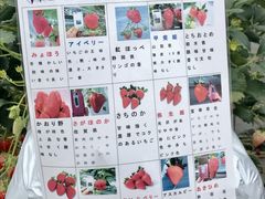 ݂Ȃ݂񂳂̂̉ւ̓eʐ^1