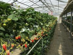 hƂ䂤q̏aMn@cւ̓eʐ^2