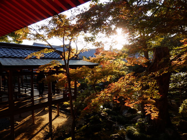 �g�t�V�[�Y�����I�X�X���ł�_�哿��