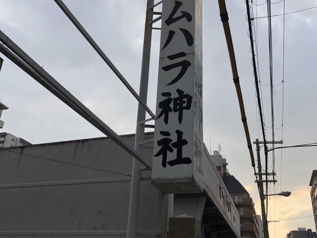 �T���n���_��_�T���n���_��