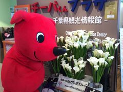 肳̎OAEgbgp[N@؍XÂւ̓eʐ^1