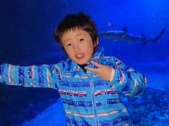 񂳂̓mr[`h&mቤւ̓eʐ^1