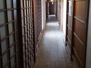 邪񂳂̋iЖ͔͎\̓eʐ^5