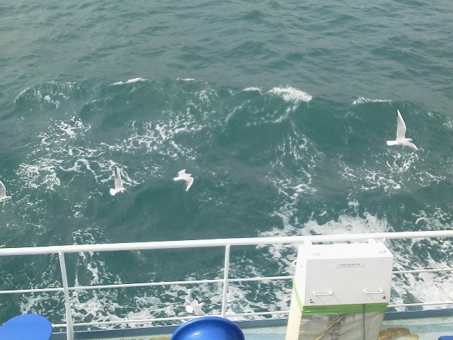 �J�������ꏏ��_�x�͘p�t�F���[