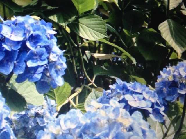 ��������_���R�_��