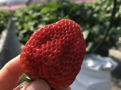 񂱂joumonfarmi傤ӂ[ށjւ̓eʐ^1