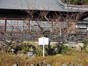 �g�V���[����̐������̉痴�~�̓��e�ʐ^1