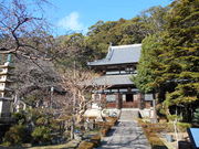 gV[̗^Ӗ쏻qw̓eʐ^1