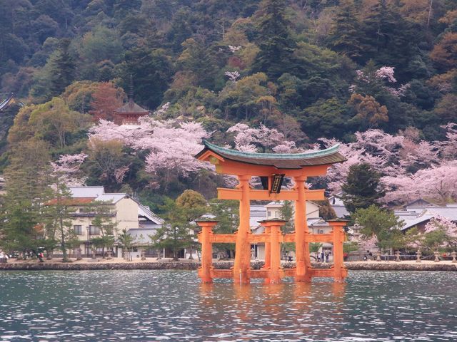 宮島の桜】アクセス・営業時間・料金情報 - じゃらんnet