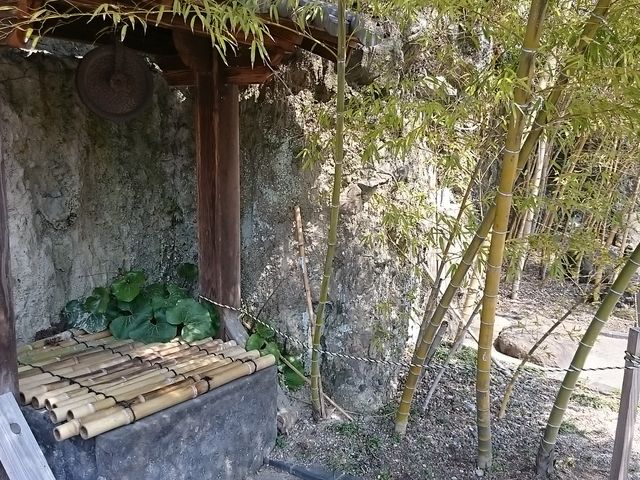 ��@�̈�˂�����܂�_�n�z���Ɖ��~