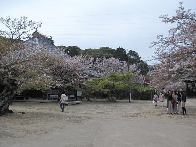 ����_���R���^������