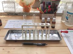 Ƃ񂳂LCJtFւ̓eʐ^1