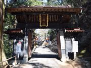 �Ђ��炬����̎q�m�����̓�{�X�M�̓��e�ʐ^1