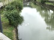 ҂݂񂳂̌炢@匴{@̓eʐ^1