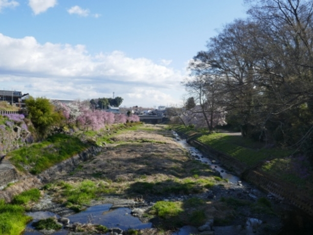 �t�̗Y��_���̉w �Êy