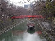 �܂������̑D���`�Ղ̓��e�ʐ^1