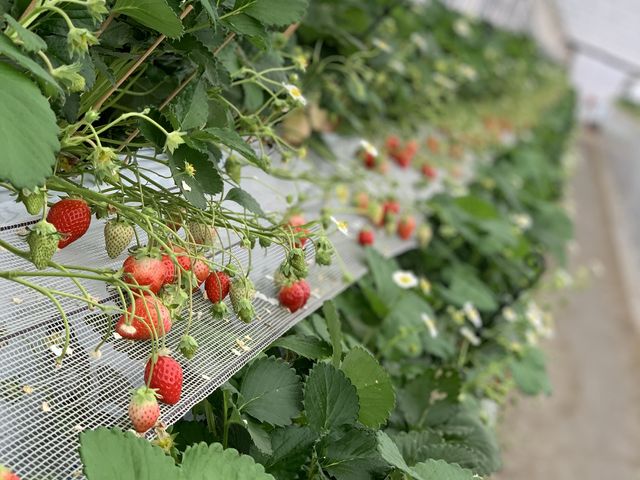 �|�[�g���[�g�ʐ^��_�z�J�������{��_��