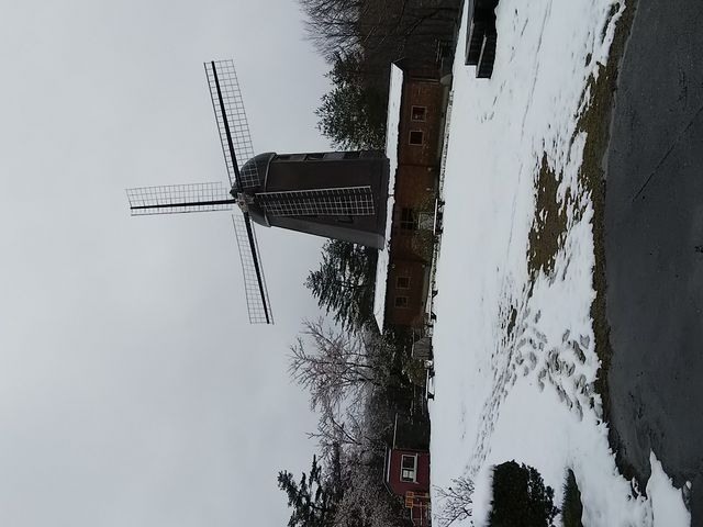 �ӂ�����_��J��_���t�H���X�g�p�[�N�E�y��