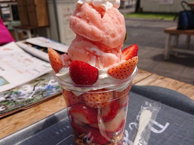 ���������p�t�F_�_Life�������̑�