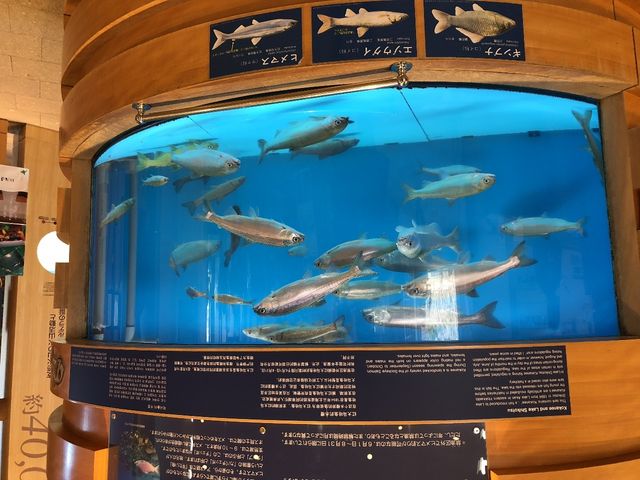 �F��ȓW��������܂��B_�x┌΃r�W�^�[�Z���^�[