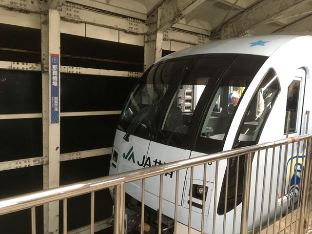 �ߔe��`�w_�䂢���[���ߔe��`�w