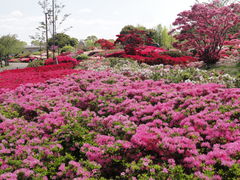 久留米百年公園の写真一覧 じゃらんnet