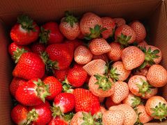 킳̔_Lifȇւ̓eʐ^1