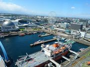 ܂񂳂̖É`|[gr̓eʐ^1